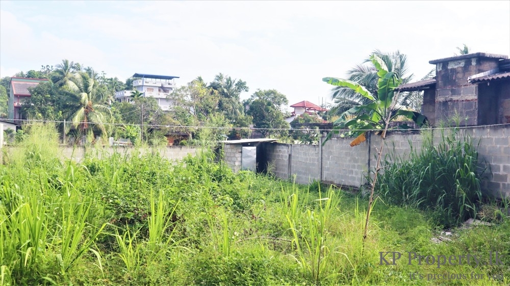 www.kp property.lk Paddy field Facing Land for Sale Piliyandala