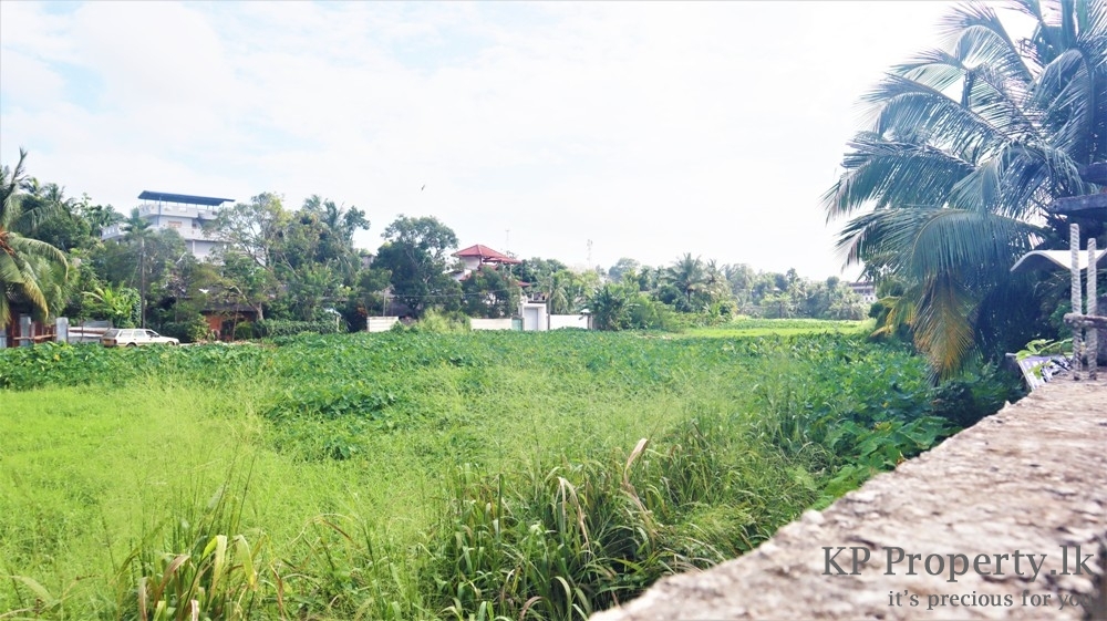 www.kp property.lk Paddy field Facing Land for Sale Piliyandala
