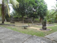 front garden with 