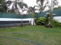 Back Garden with pool