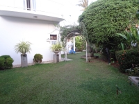 front Garden view 2